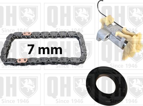 Quinton Hazell QCK133 - Chit lant de distributie aaoparts.ro