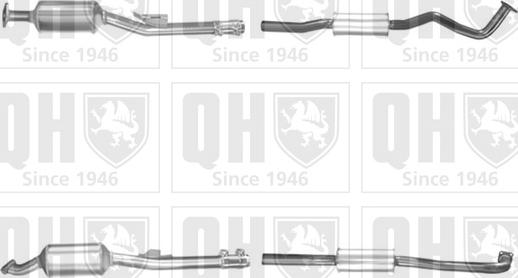 Quinton Hazell QDPF11176H - Filtru funingine / particule, sist.de esapament aaoparts.ro