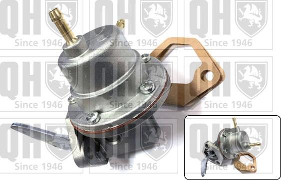 Quinton Hazell QFP42 - Pompa combustibil aaoparts.ro
