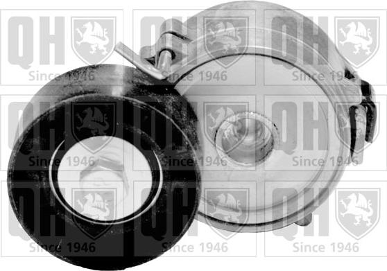 Quinton Hazell QTA1379 - Rola ghidare / conducere, curea transmisie aaoparts.ro