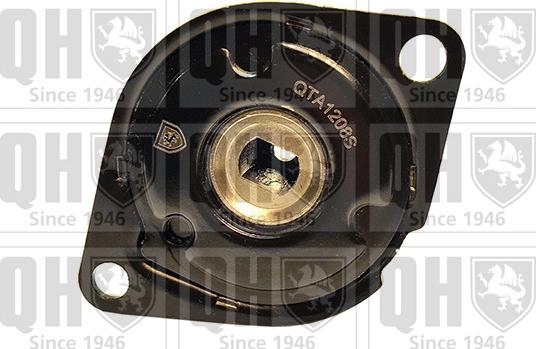 Quinton Hazell QTA1208S - Intinzator curea, curea distributie aaoparts.ro