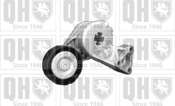 Quinton Hazell QTA893 - Intinzator curea, curea distributie aaoparts.ro