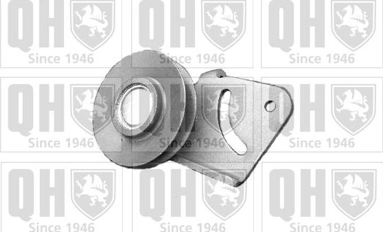 Quinton Hazell QTA772 - Rola ghidare / conducere, curea transmisie aaoparts.ro