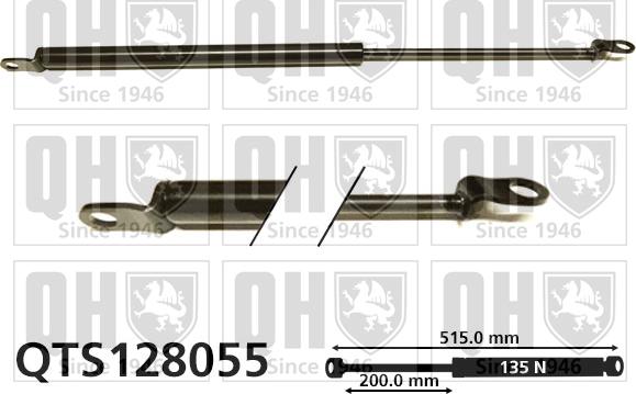 Quinton Hazell QTS128055 - Amortizor portbagaj aaoparts.ro