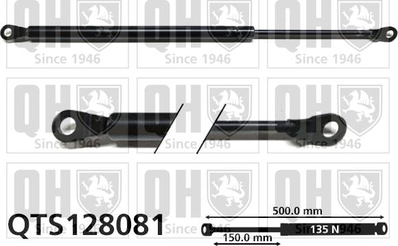 Quinton Hazell QTS128081 - Amortizor portbagaj aaoparts.ro