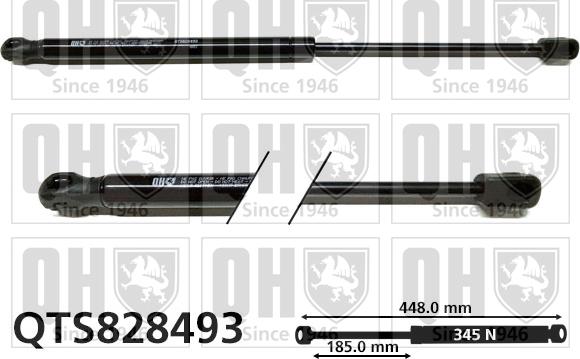 Quinton Hazell QTS828493 - Amortizor capota aaoparts.ro