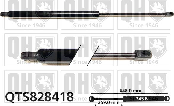 Quinton Hazell QTS828418 - Amortizor portbagaj aaoparts.ro