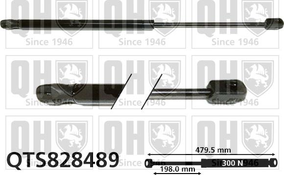 Quinton Hazell QTS828489 - Amortizor capota aaoparts.ro