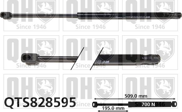 Quinton Hazell QTS828595 - Amortizor portbagaj aaoparts.ro