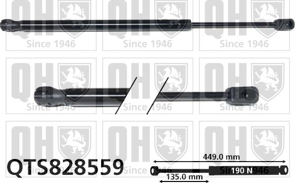 Quinton Hazell QTS828559 - Amortizor capota aaoparts.ro