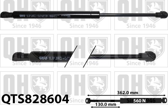 Quinton Hazell QTS828604 - Amortizor capota aaoparts.ro