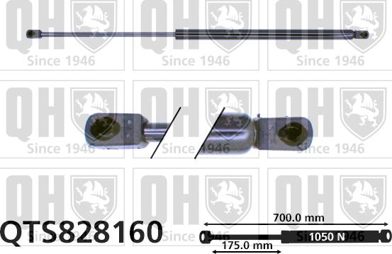 Quinton Hazell QTS828160 - Amortizor portbagaj aaoparts.ro