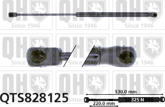 Quinton Hazell QTS828125 - Amortizor portbagaj aaoparts.ro