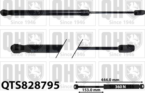 Quinton Hazell QTS828795 - Amortizor capota aaoparts.ro