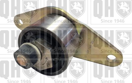 Quinton Hazell QTT110 - Rola intinzator,curea distributie aaoparts.ro