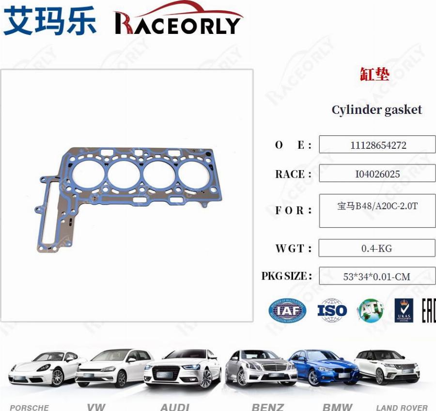 RACEORLY I04026025 - Garnitura, chiulasa aaoparts.ro