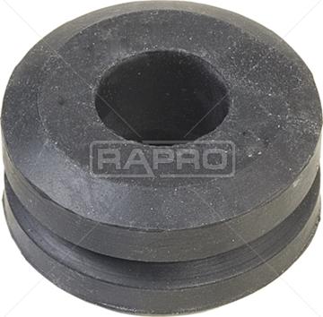 Rapro R59221 - Rulment sarcina suport arc aaoparts.ro