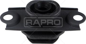 Rapro R54479 - Suport motor aaoparts.ro