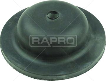 Rapro R51591 - Rulment sarcina suport arc aaoparts.ro
