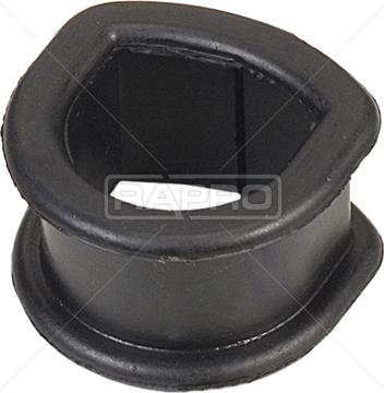 Rapro R52096 - Suport, caseta directie aaoparts.ro