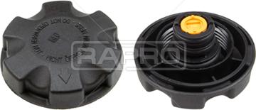 Rapro R66155 - Buson,vas expansiune aaoparts.ro