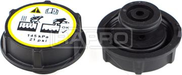 Rapro R66125 - Buson,vas expansiune aaoparts.ro