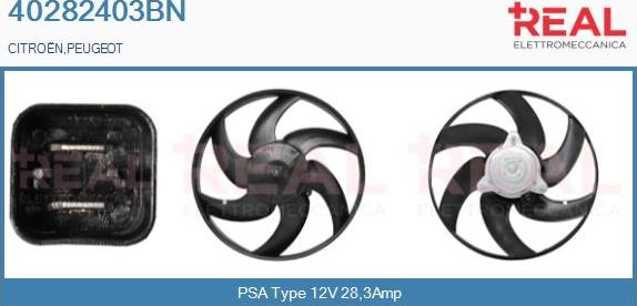 REAL 40282403BN - Motor electric,ventilator aaoparts.ro