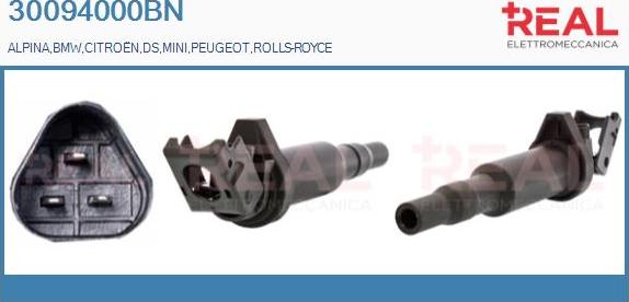 REAL 30094000BN - Bobina de inductie aaoparts.ro