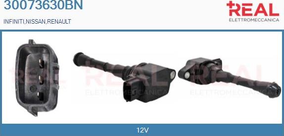 REAL 30073630BN - Bobina de inductie aaoparts.ro