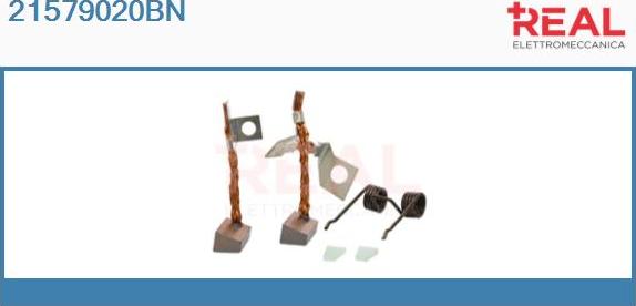 REAL 21579020BN - Perie, electromotor aaoparts.ro