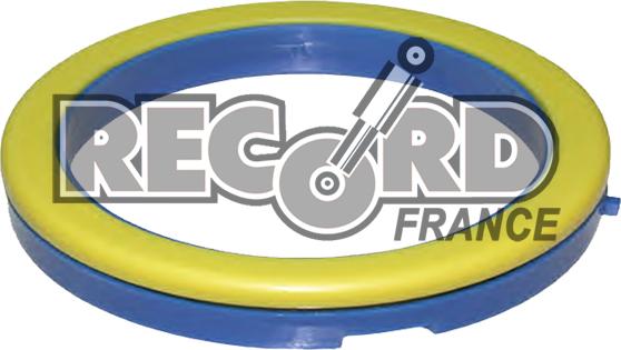 Record France 924964 - Rulment sarcina amortizor aaoparts.ro