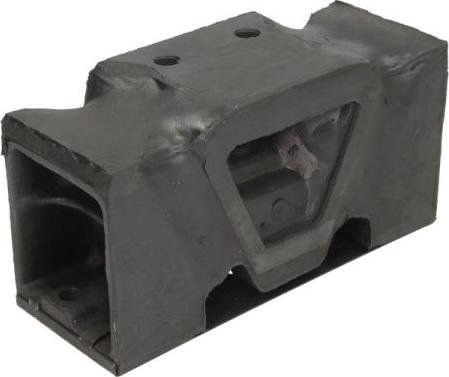 REINHOCH RH58-9003 - Suport motor aaoparts.ro