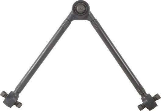 REINHOCH RH53-9036 - Brat, suspensie roata aaoparts.ro