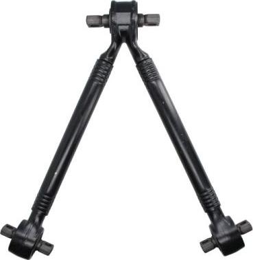 REINHOCH RH53-2033 - Brat, suspensie roata aaoparts.ro
