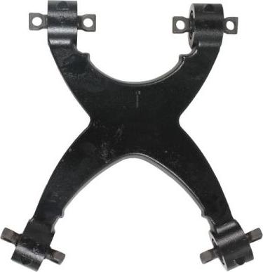 REINHOCH RH53-2024 - Brat, suspensie roata aaoparts.ro