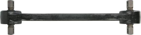 REINHOCH RH53-2021 - Brat, suspensie roata aaoparts.ro