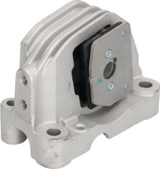 REINHOCH RH11-4029 - Suport motor aaoparts.ro