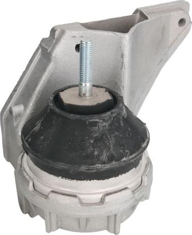 REINHOCH RH11-0001 - Suport motor aaoparts.ro