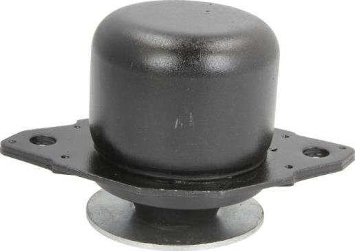 REINHOCH RH11-0108 - Suport motor aaoparts.ro