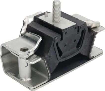 REINHOCH RH11-1002 - Suport motor aaoparts.ro