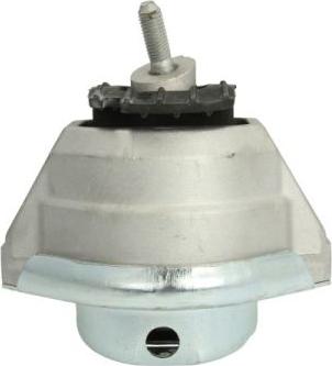 REINHOCH RH11-3050 - Suport motor aaoparts.ro