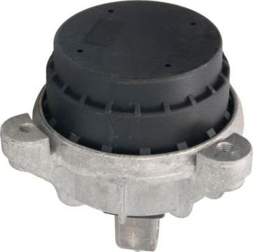 REINHOCH RH11-3058 - Suport motor aaoparts.ro