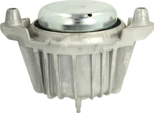 REINHOCH RH11-3034 - Suport motor aaoparts.ro