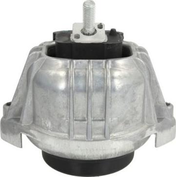 REINHOCH RH11-3038 - Suport motor aaoparts.ro