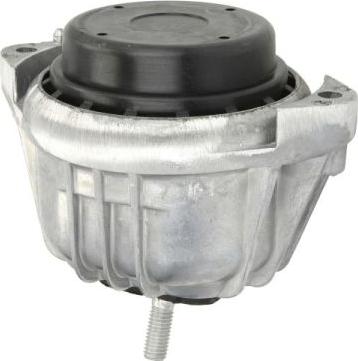 REINHOCH RH11-3038 - Suport motor aaoparts.ro