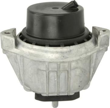 REINHOCH RH11-3033 - Suport motor aaoparts.ro