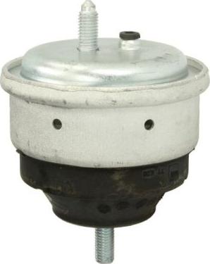 REINHOCH RH11-3021 - Suport motor aaoparts.ro