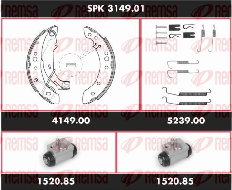 Remsa SPK 3149.01 - Set saboti frana aaoparts.ro