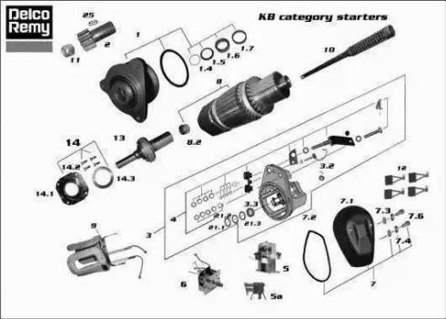Remy 19024010 - Starter aaoparts.ro