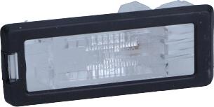 RENAULT 8200013577 - Iluminare numar de circulatie aaoparts.ro